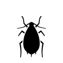 outline of aphid